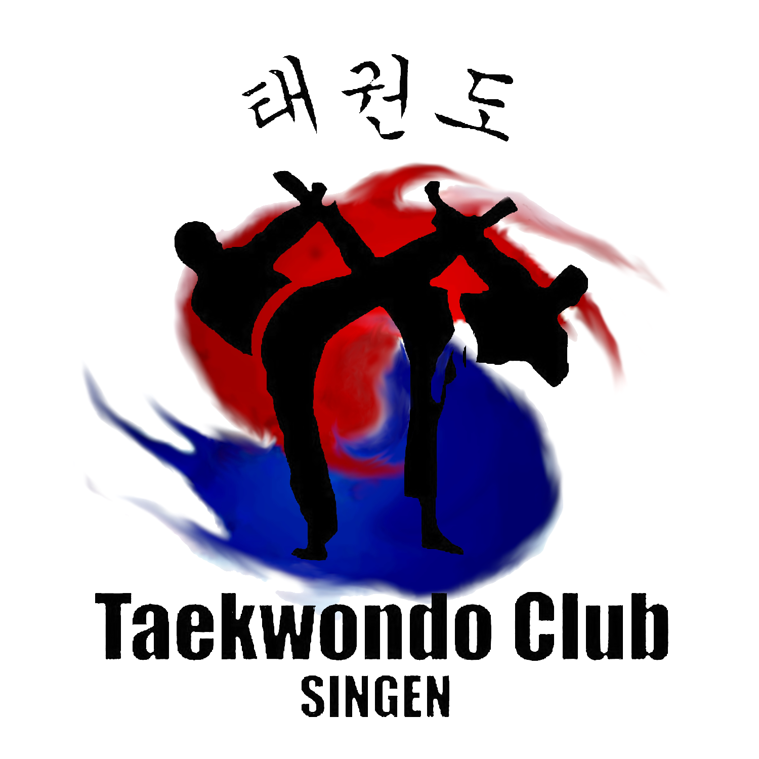 Taekwondo Club Singen e.V.